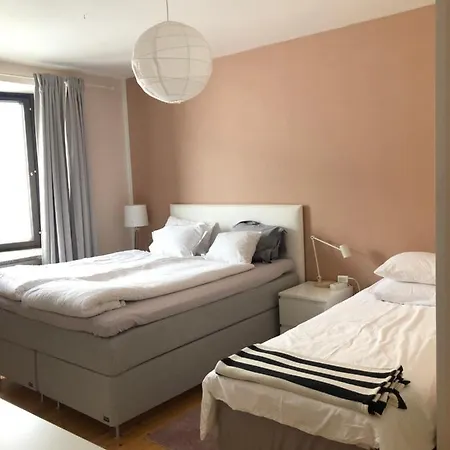 Center 2 And Kitchen Free Private Parking Huoneisto