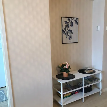 Center 2 Free Private Parking With Heating Plug Kemi