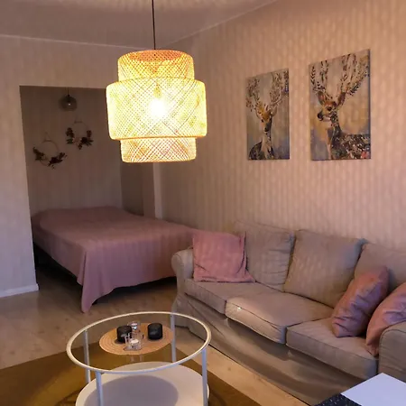 Center 2 Free Private Parking With Heating Plug Kemi