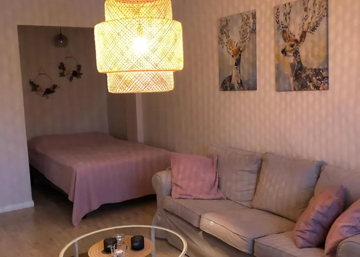 Center 2 Free Private Parking With Heating Plug Kemi